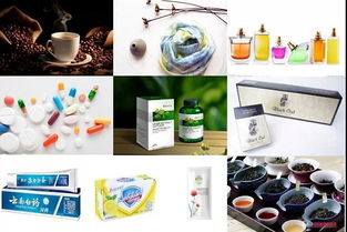 中藥成藥的植物化學 實驗室里的孤寂與成就